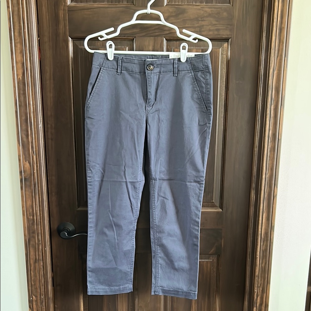 The Loft Monroe Slim ankle chino pants